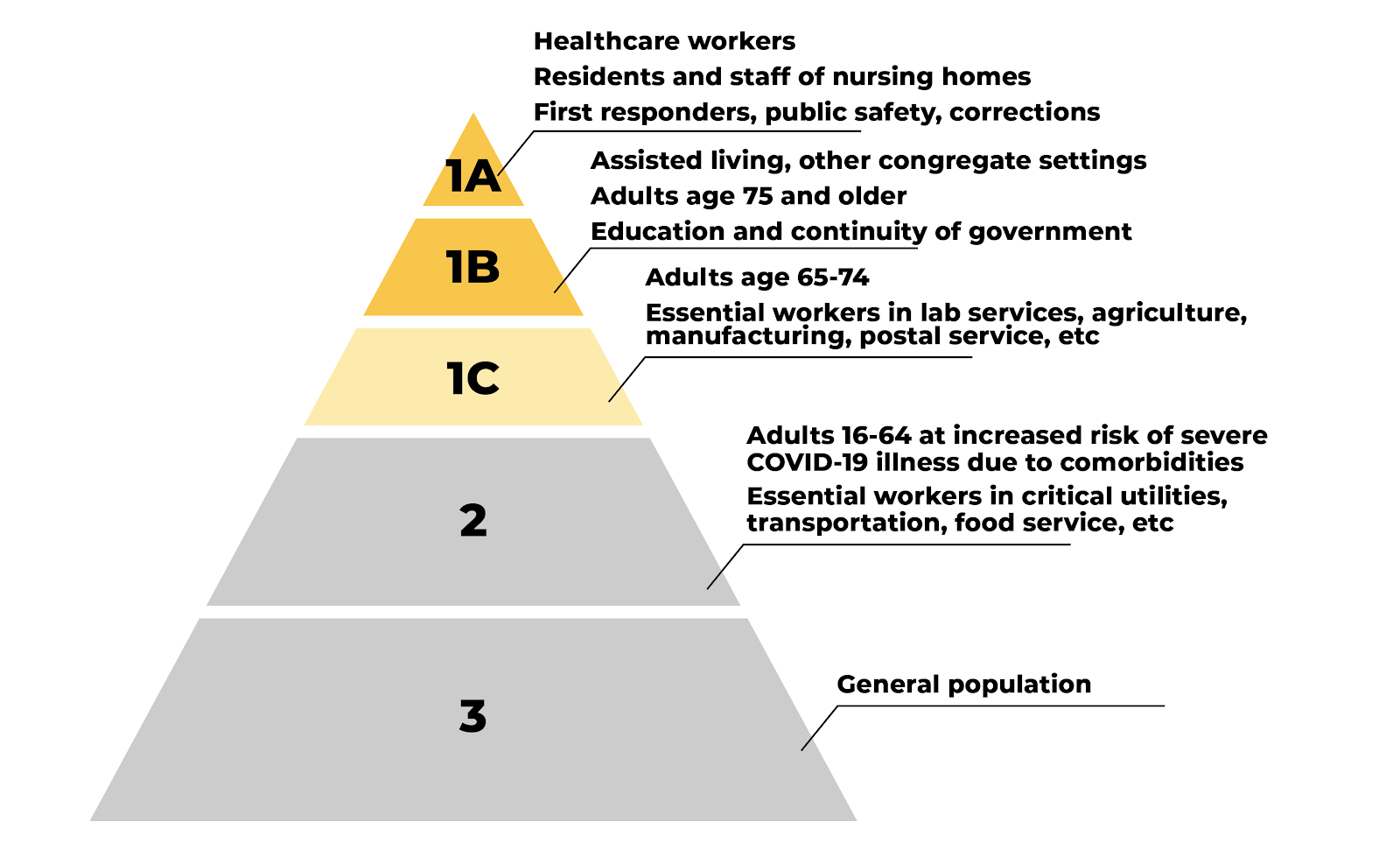 Vaccination priority pyramid